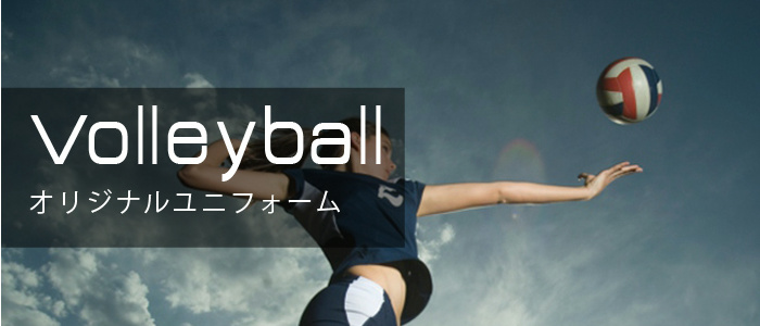 個人のお客様 Volleyball